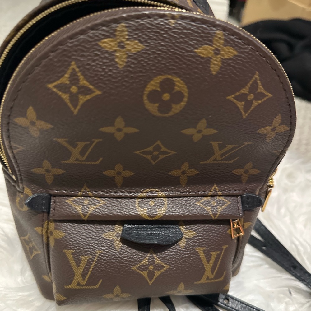 Used great condition Louis Vuitton Palm Springs Backpack Monogram Canvas mini